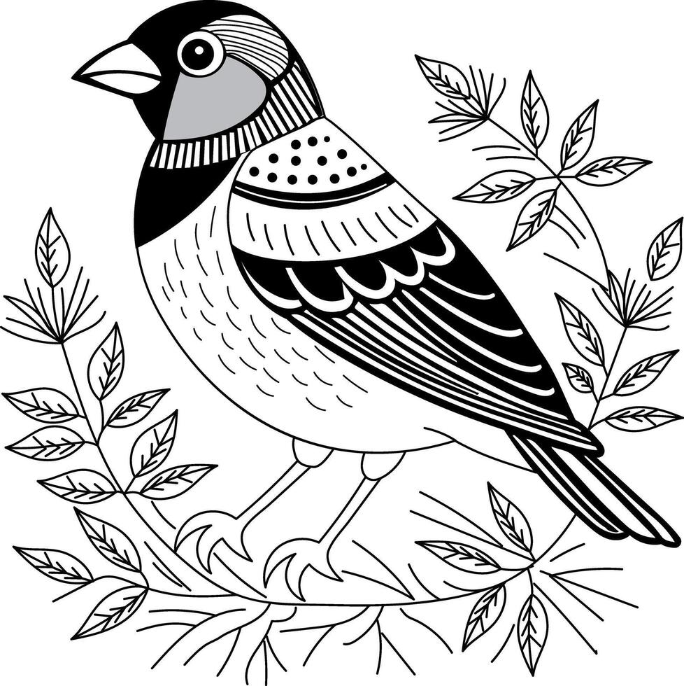Bird Aviary Vintage Illustrations vector