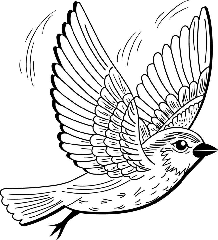 Finch flight vintage style illustration vector