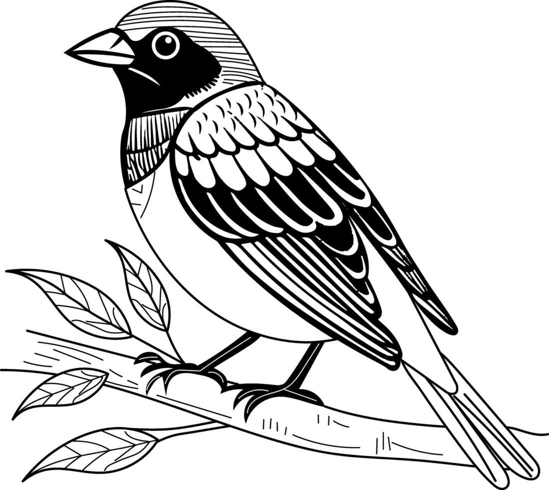 Vintage style illustration of lazuli bunting bird vector