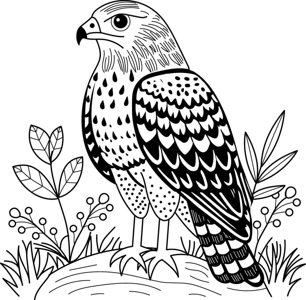 Shouldered hawk illustration in vintage style vector