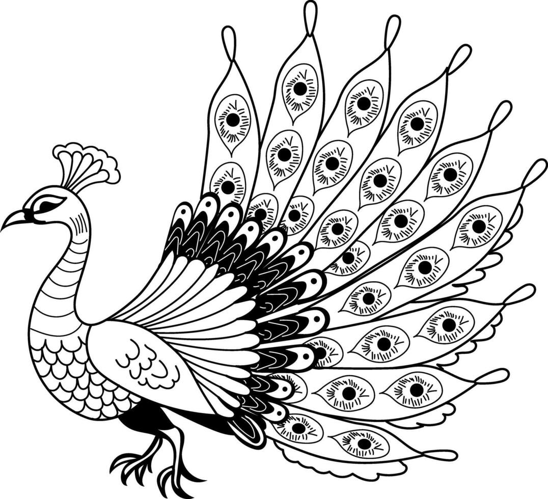 A vintage illustration of beautiful peacock vector