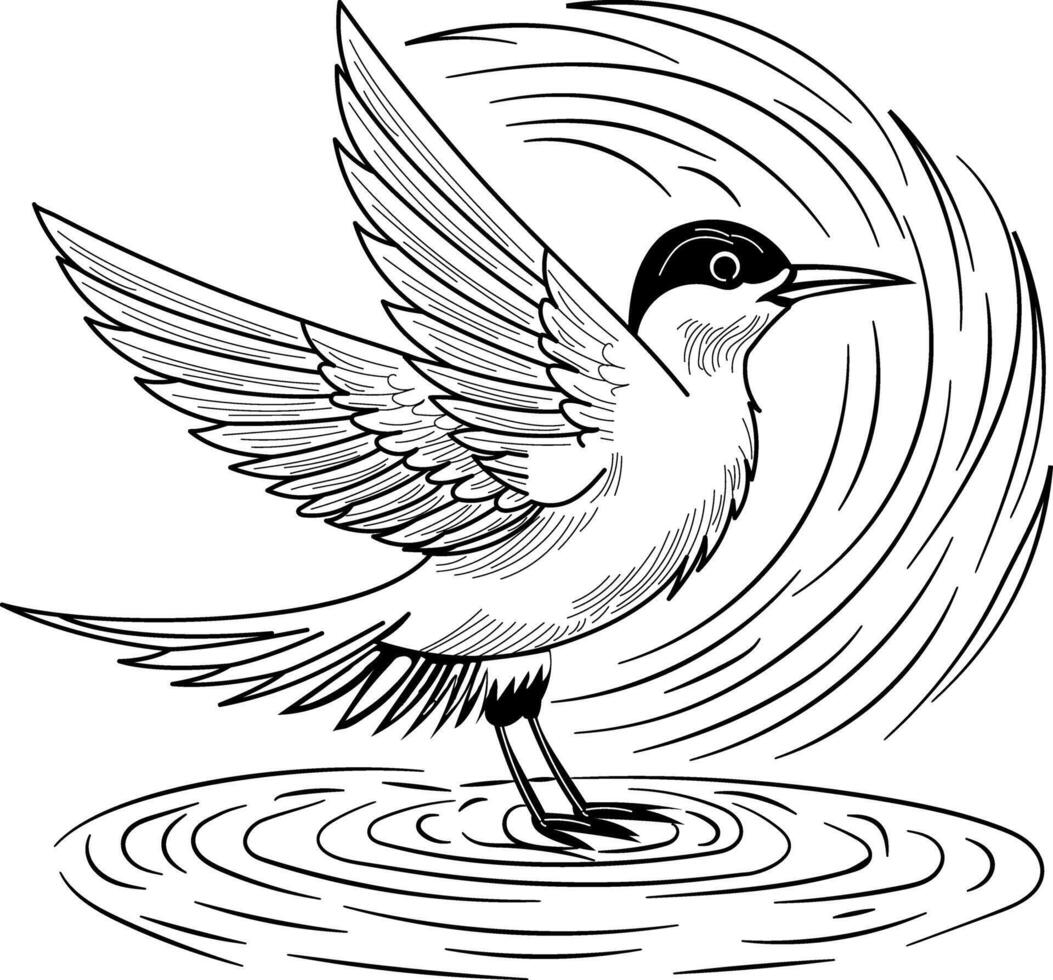 A vintage illustration of tern bird vector