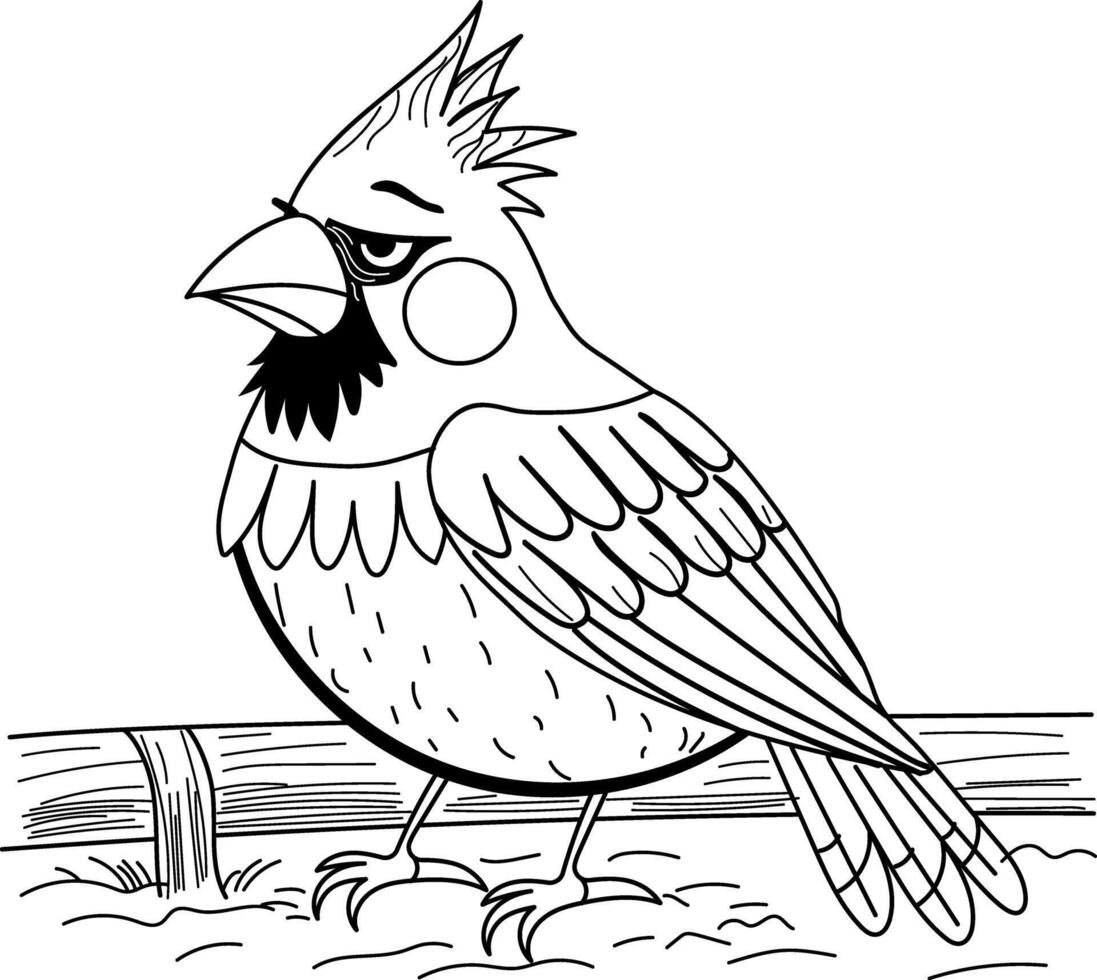Northern cardinal illustration in vintage style vector