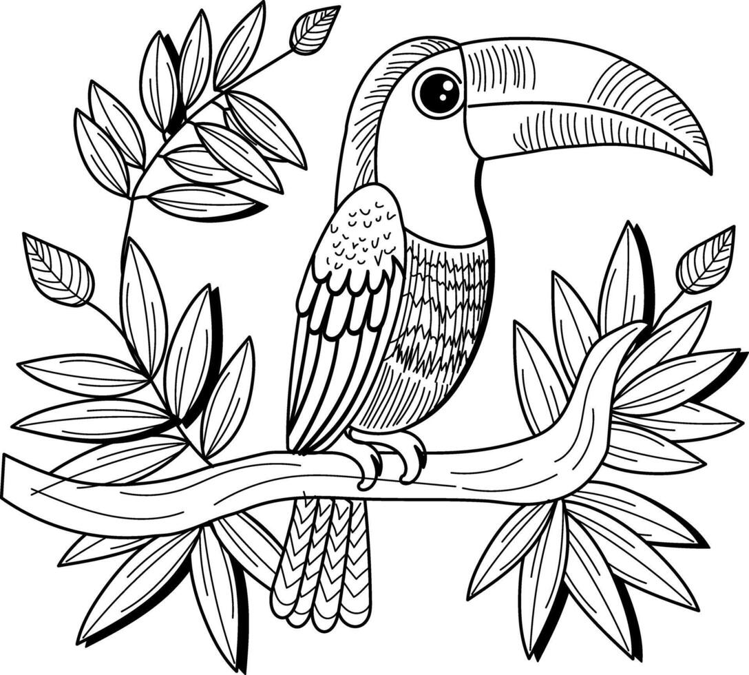 A vintage illustration of perched toucan bird vector