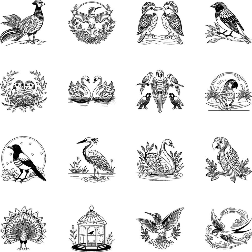 Collection of Vintage Ornithology Illustrations vector