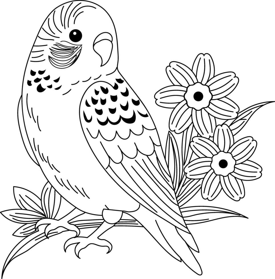 Vintage illustration of a budgerigar bird vector