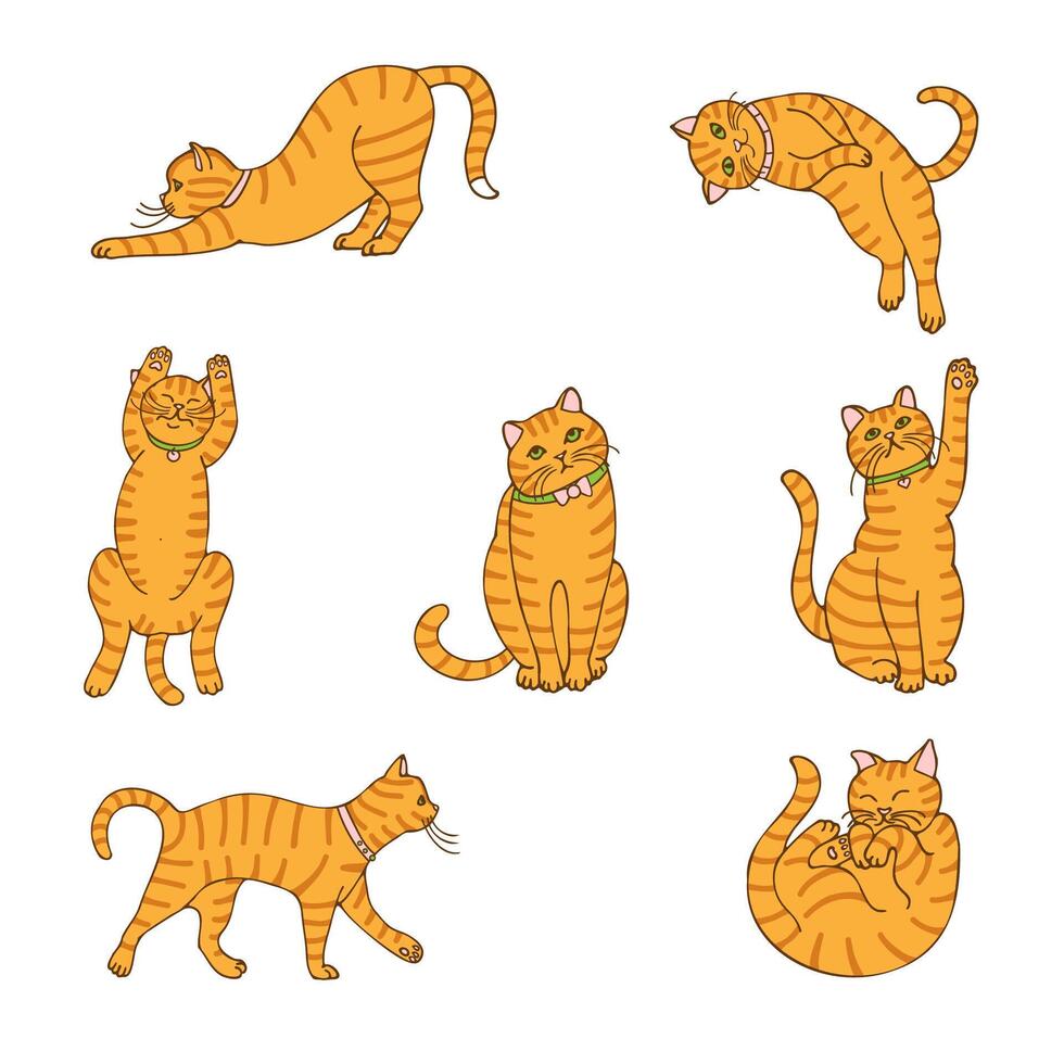 a set of drawings of red cats, hand-drawn in a cartoon style. vector