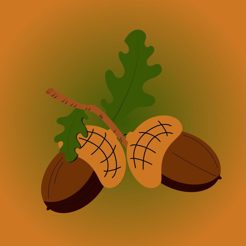 Two oak acorns with leaves on an isolated background. Flat design. vector