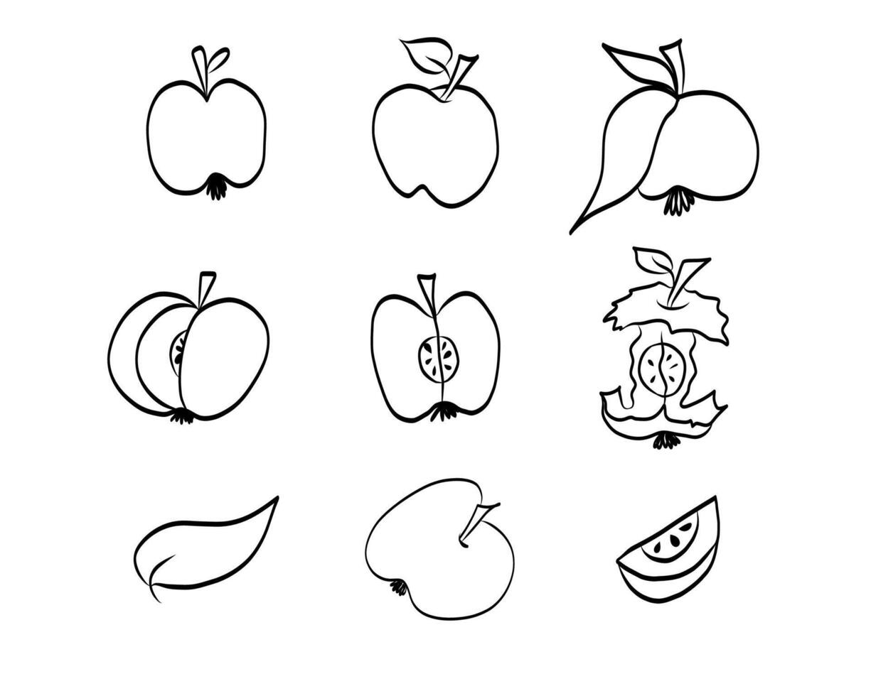 Apple doodle set vector