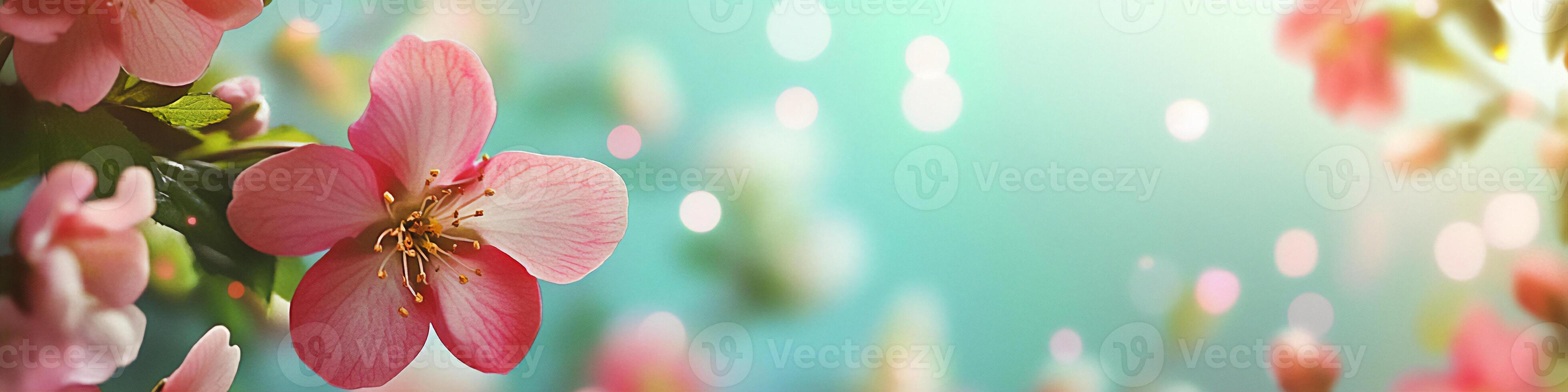 Bright spring flowers in soft pastel tones on a light background with cheerful atmosphere photo