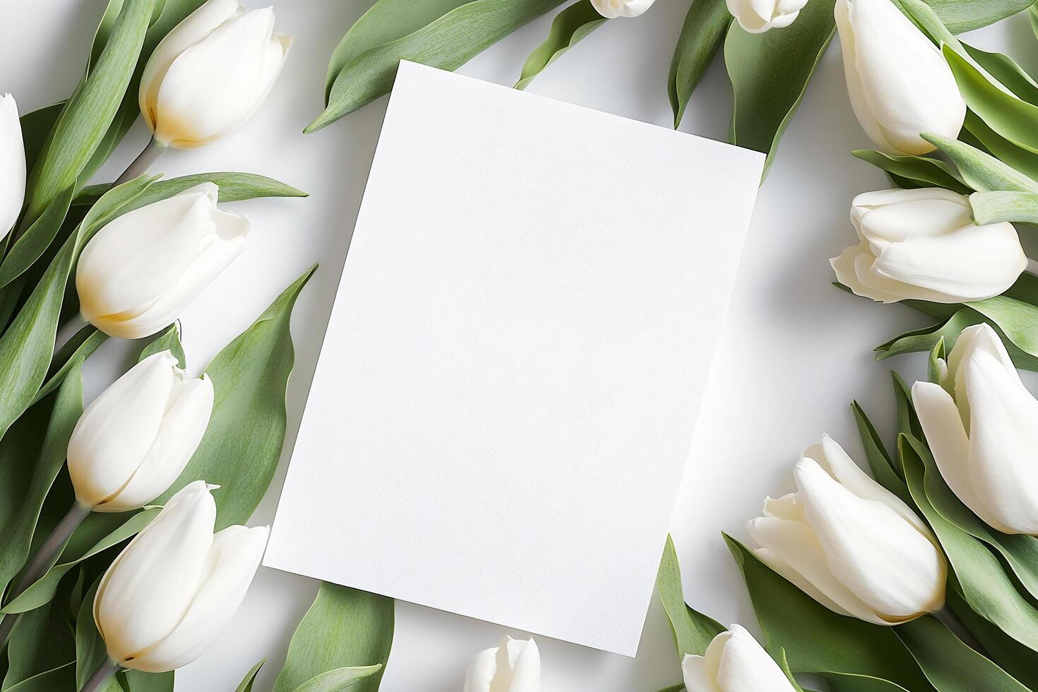 Tulip Frame on White Background Featuring Blank Envelope as Central Element Easter Template photo