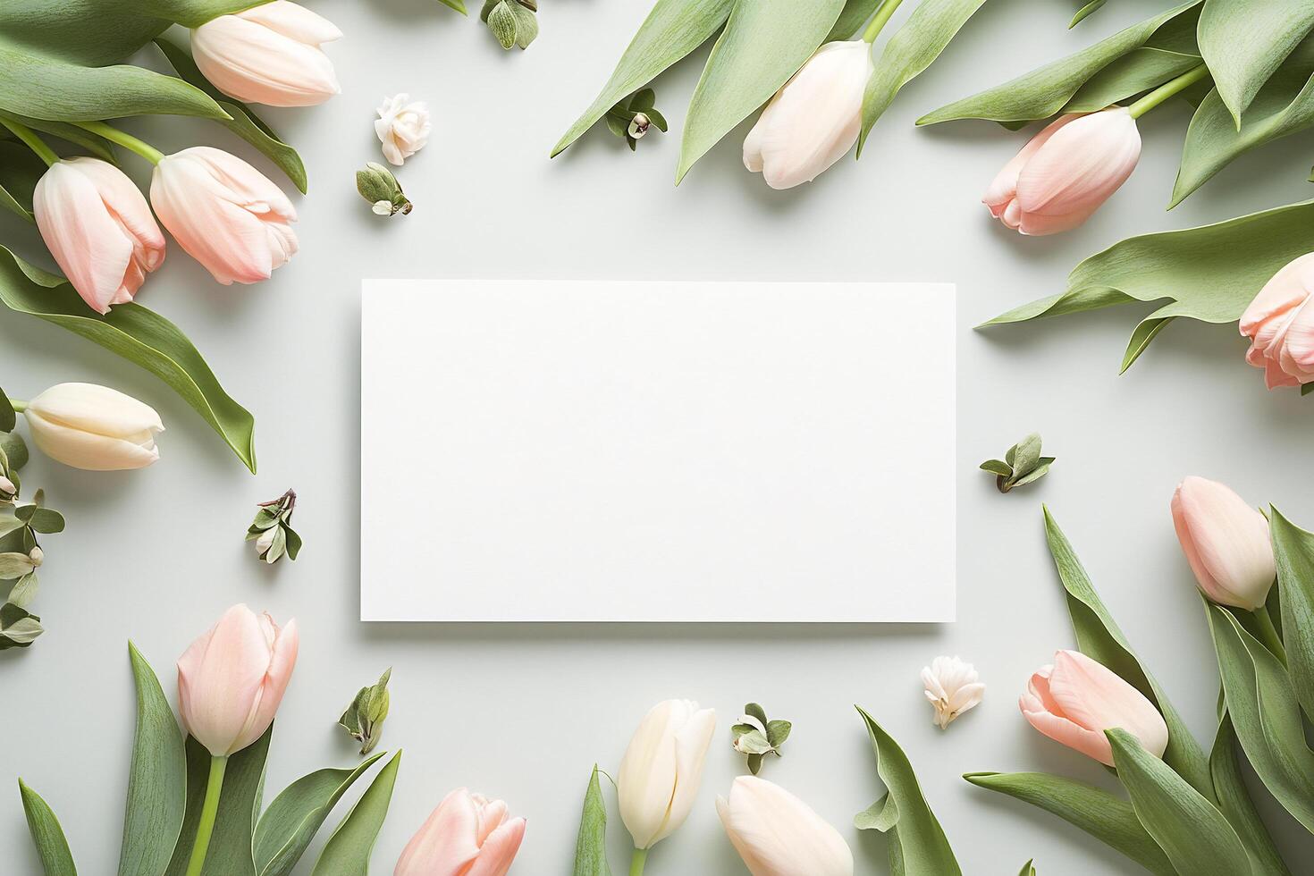 Tulip Frame on White Background Featuring Blank Envelope as Central Element Easter Template photo