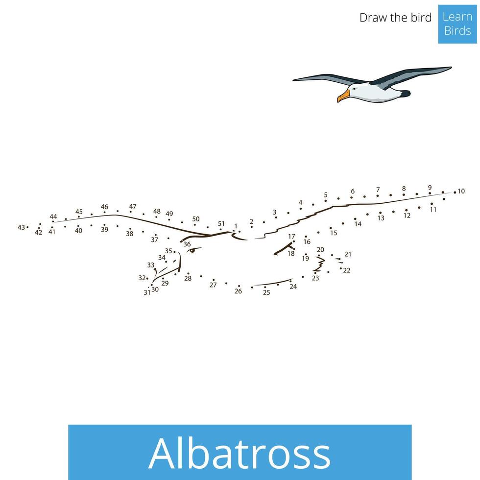 Albatross learn birds educational game coloring book illustration vector