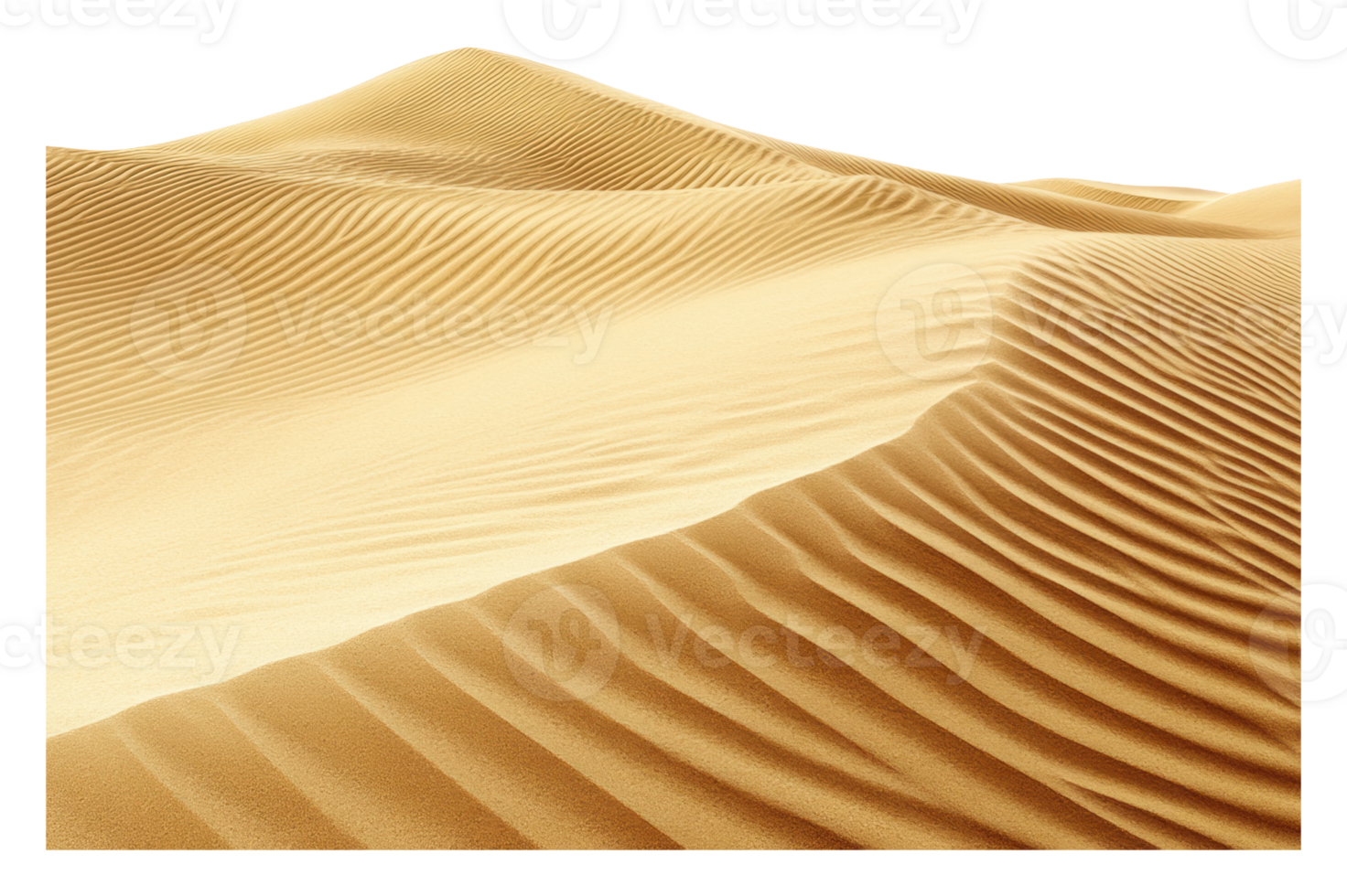 Sand waves ripple across the golden desert png
