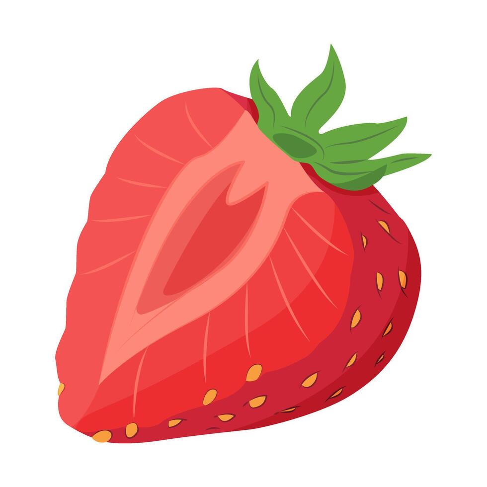 Fresh sweet Half Strawberry. Chopped Red berry. Hand drawn summer strawberry trendy flat style isolated for design. illustration vector