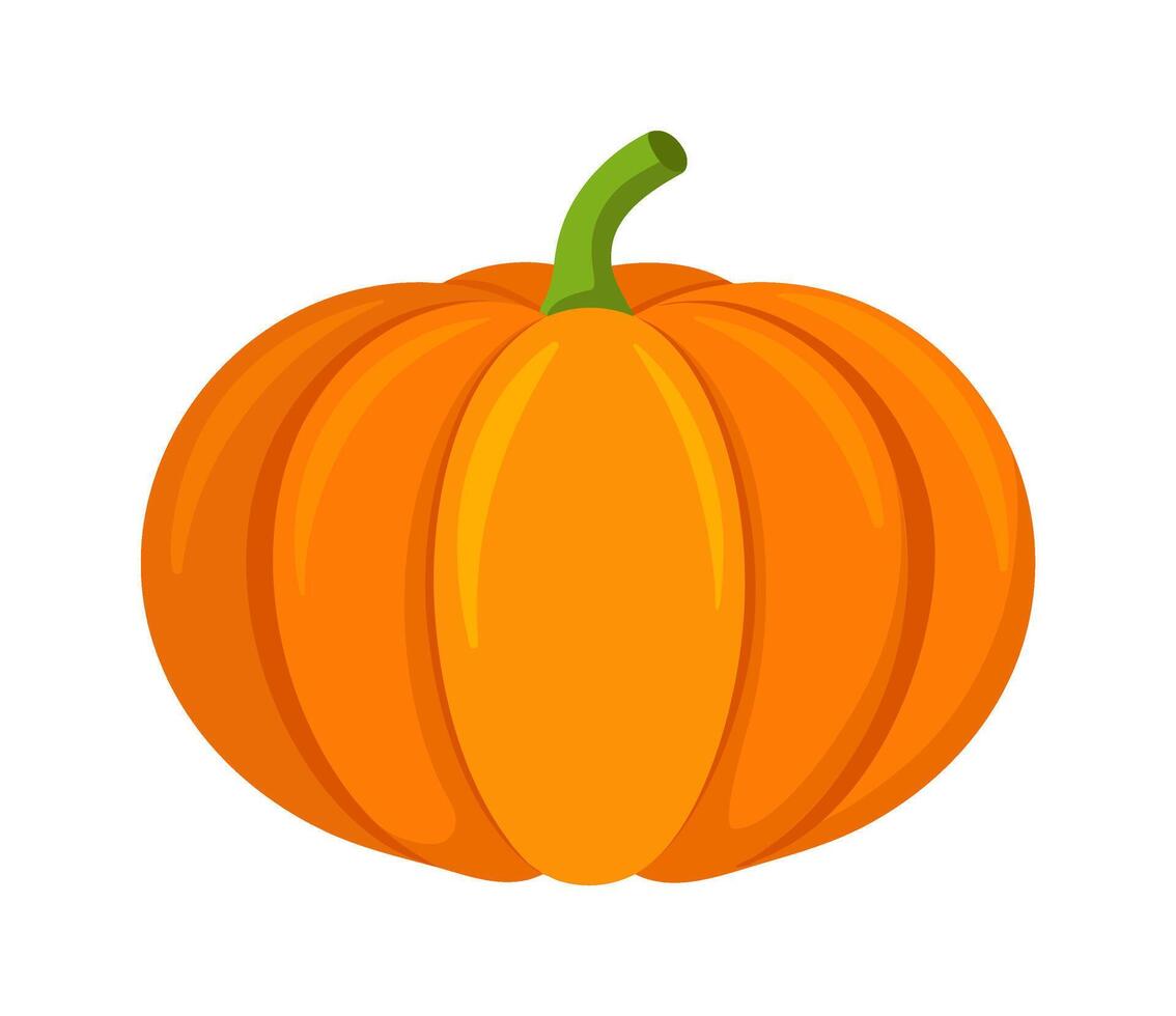 pumpkin vegetable for cooking meals. A bright element. Hand drawn Trendy flat style isolated for design. illustration vector