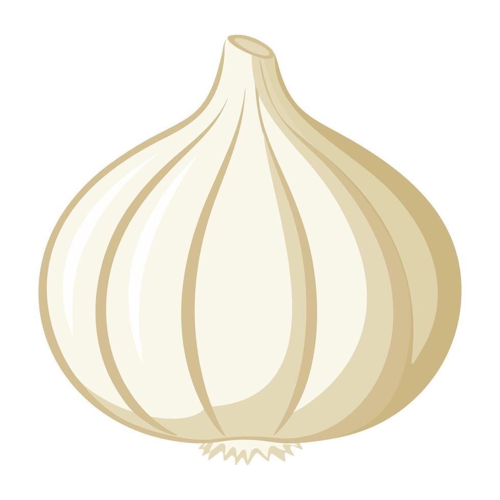 garlic vegetable for cooking meals. A bright element. Hand drawn Trendy flat style isolated for design. illustration vector