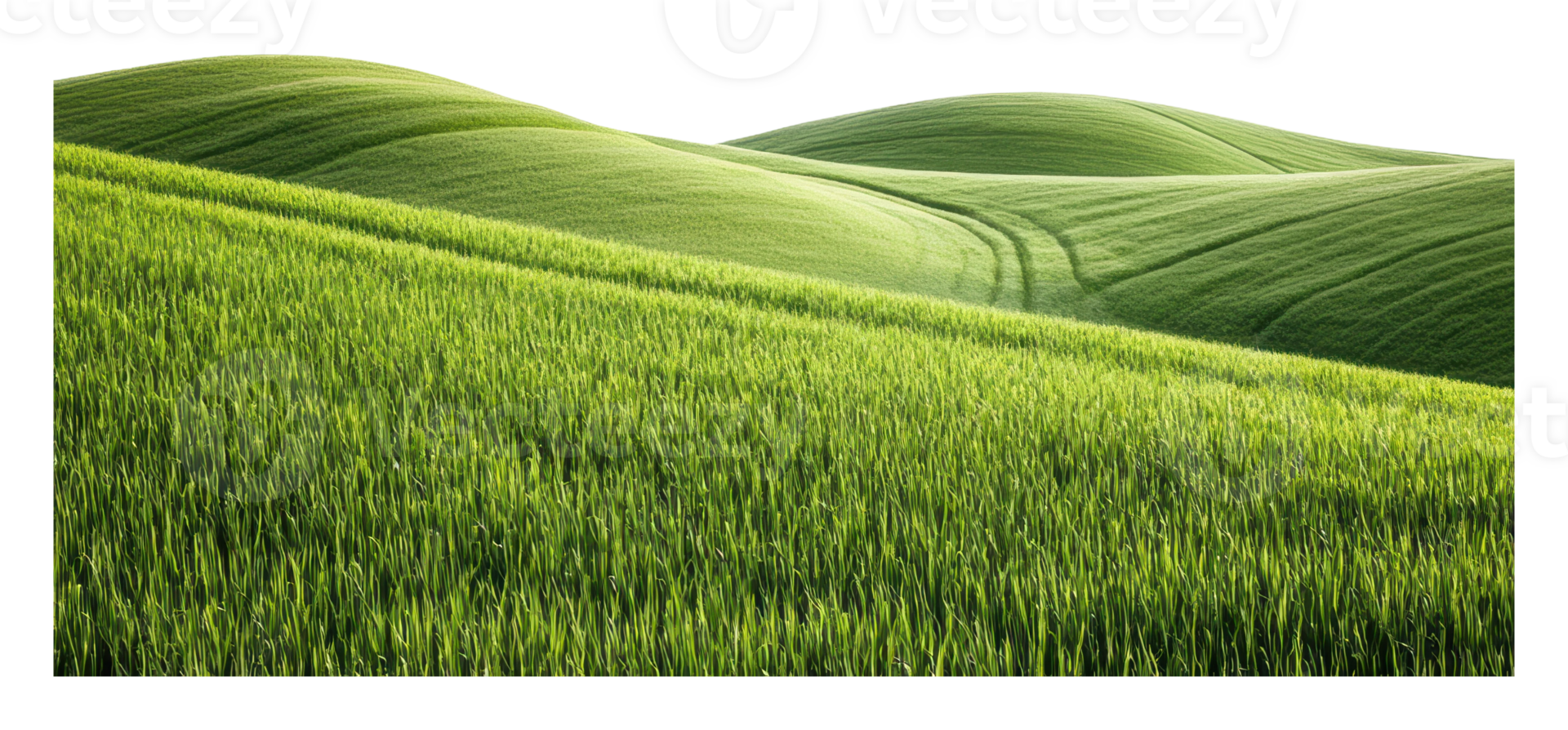 Bright spring hills of lush green png