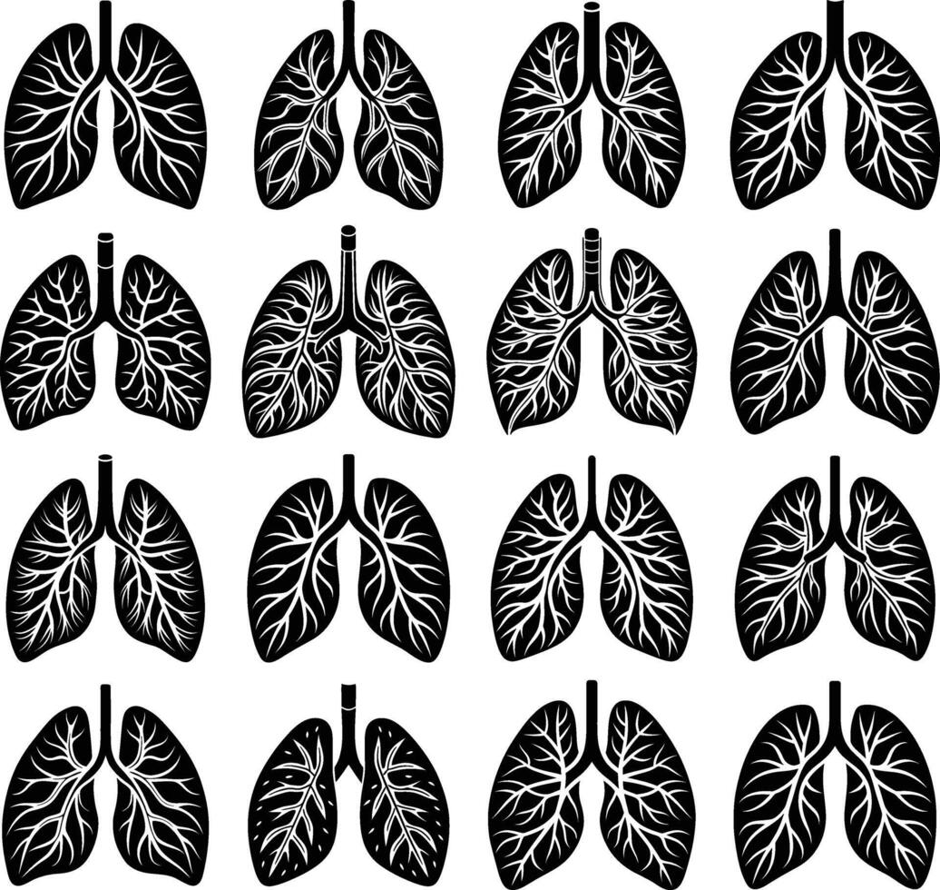 Human lungs with bronchi and bronchioles glyph vector