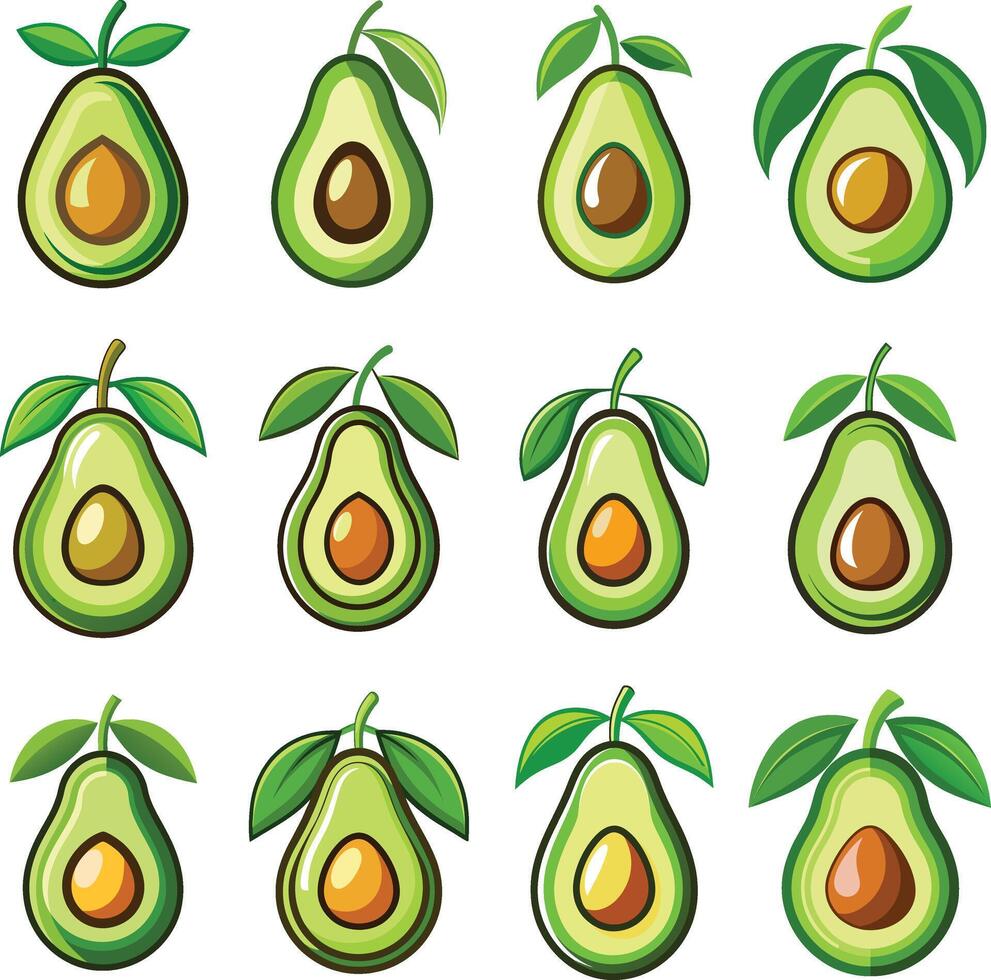 Avocado logo white background. vector