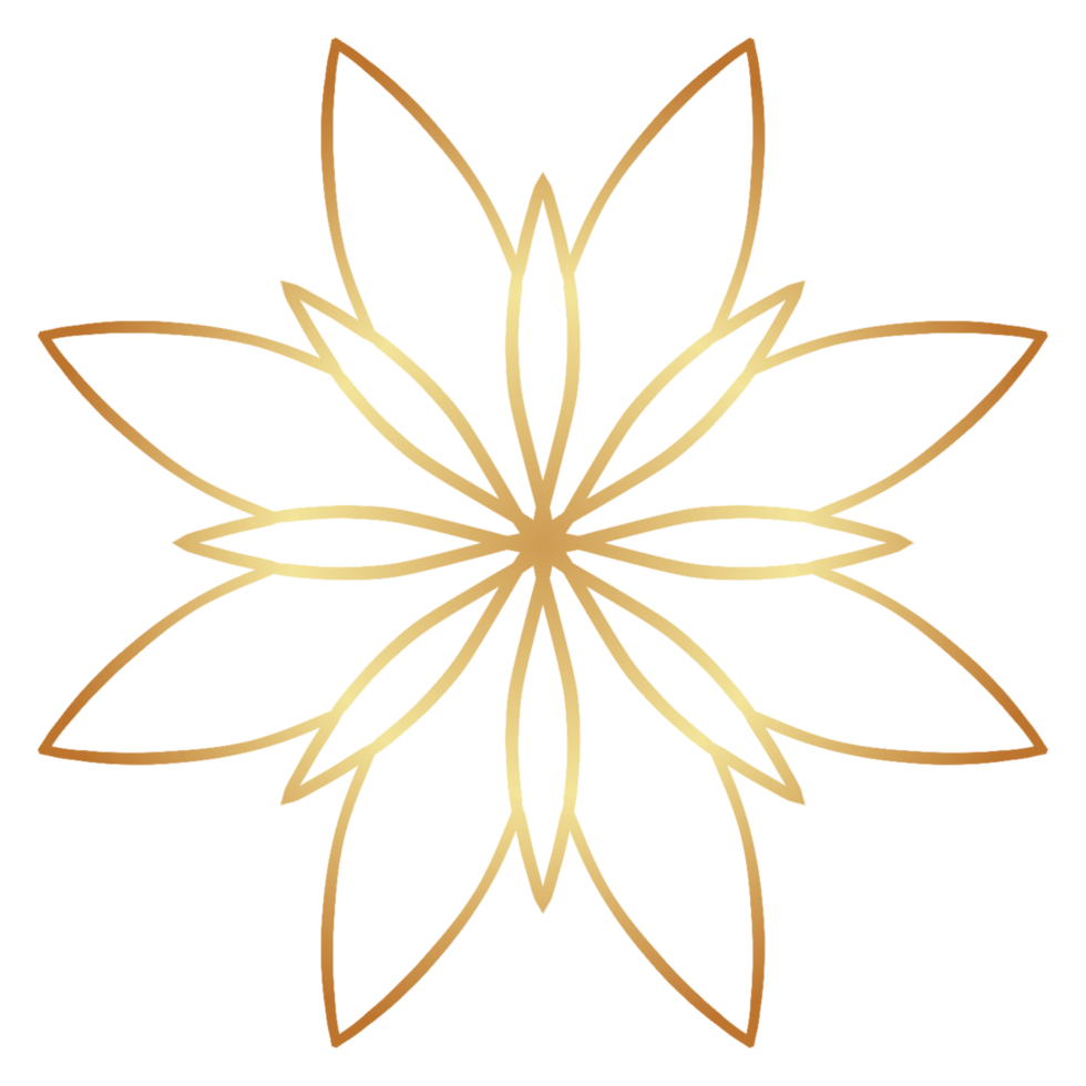golden flower on transparent background png