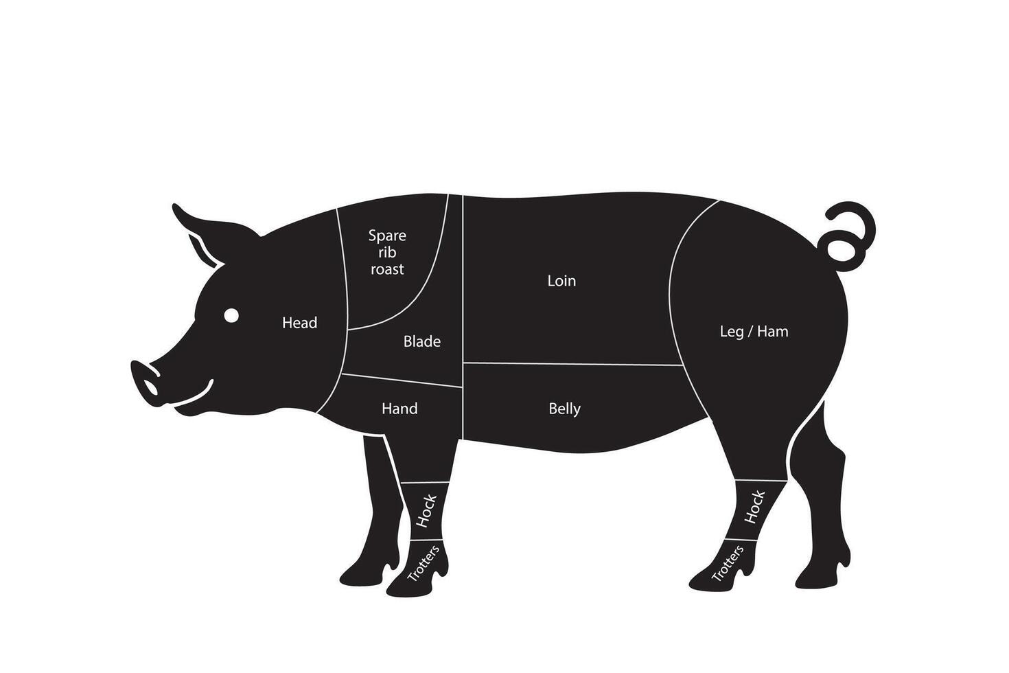 Diagram of British Pork Cuts with Labels vector