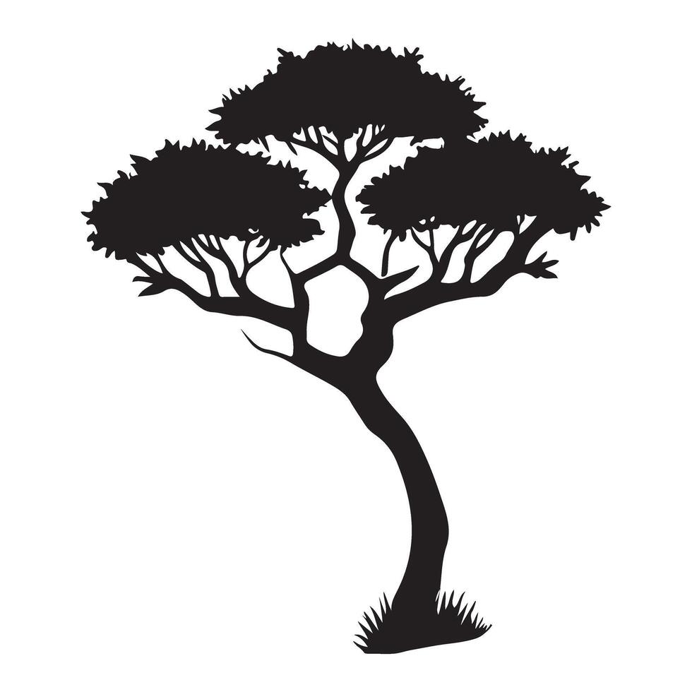 Silhouette of an African Acacia Tree Illustration vector