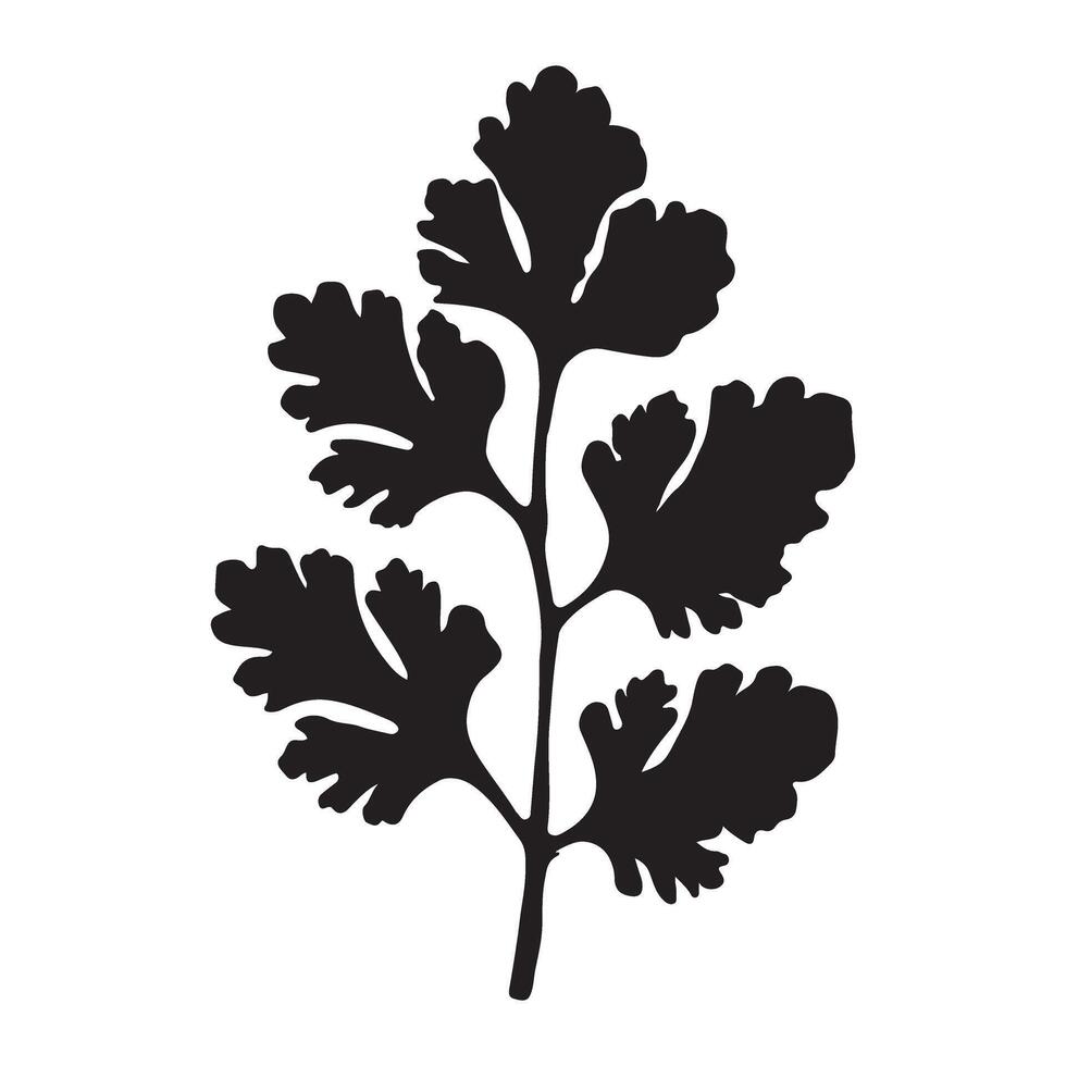 Cilantro Leaf Silhouette Illustration for Food Design vector