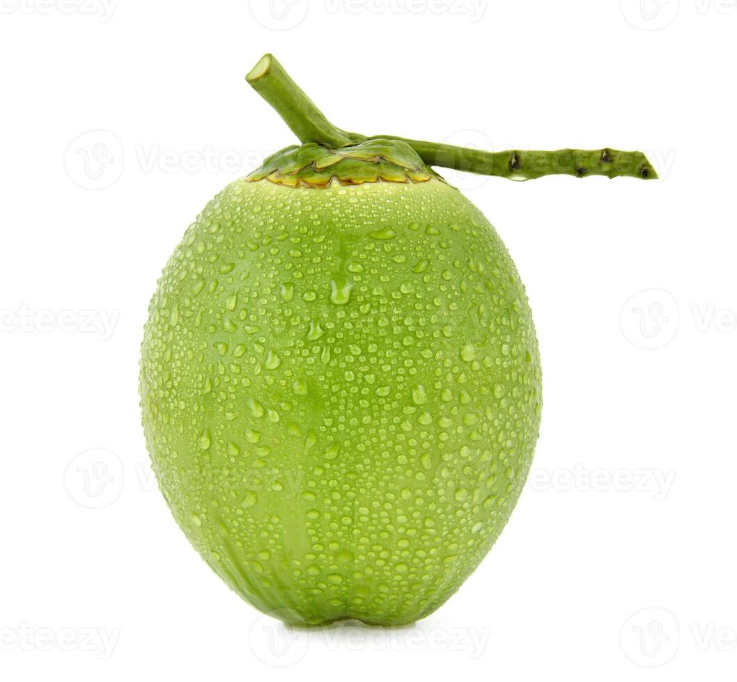 water drop green coconut isolated on white background photo