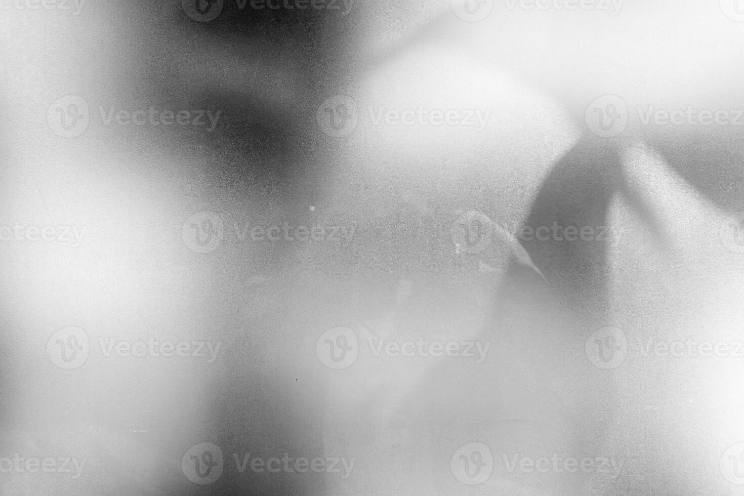 Dirty and Dusty on Glass Window Background with Leaves Shadow. photo