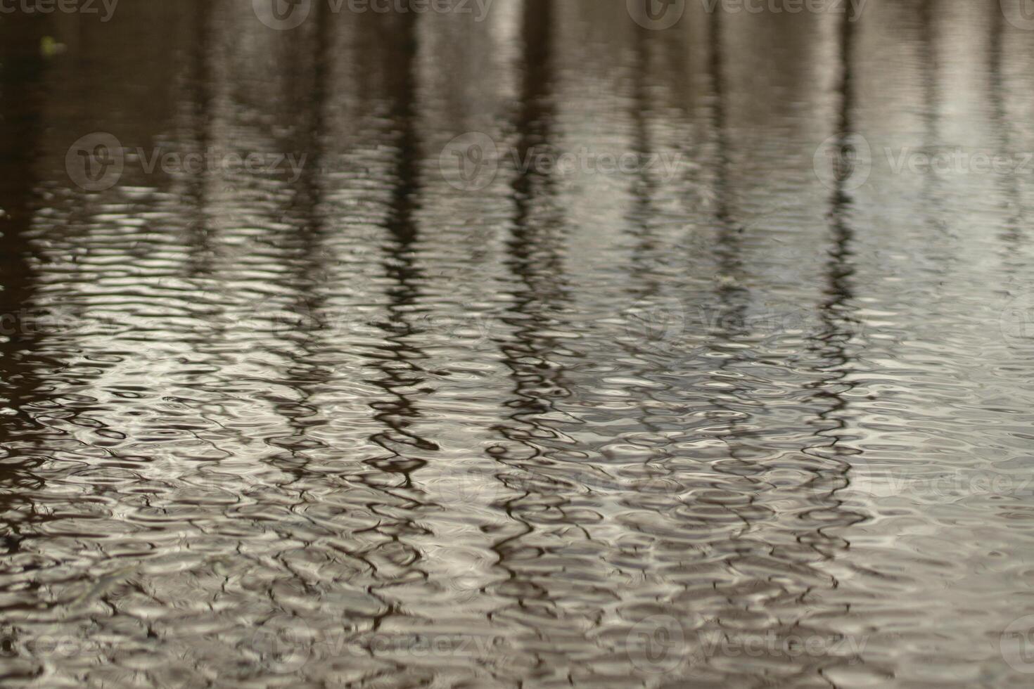 Water in spring. Waves on surface. Spring puddle. Details of nature. photo
