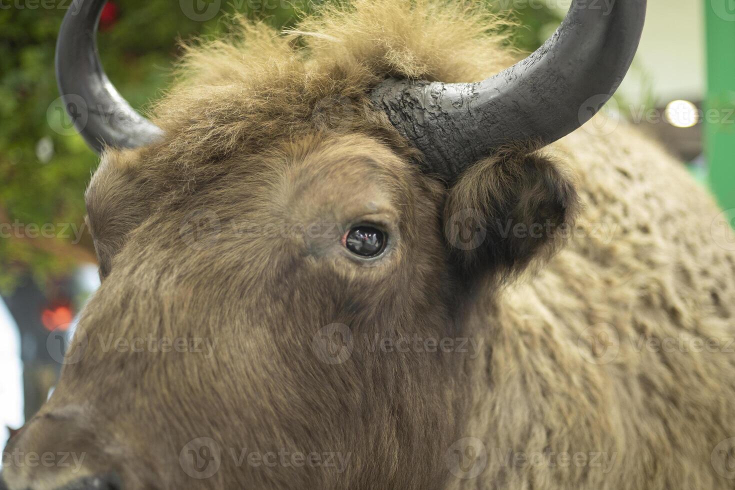 Figure of a bull. Imitation of a bull close to reality. Buffalo with horns. photo