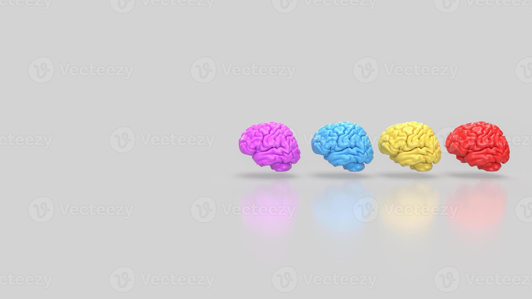 The Brain multi color on white background for education or sci concept 3d rendering. photo