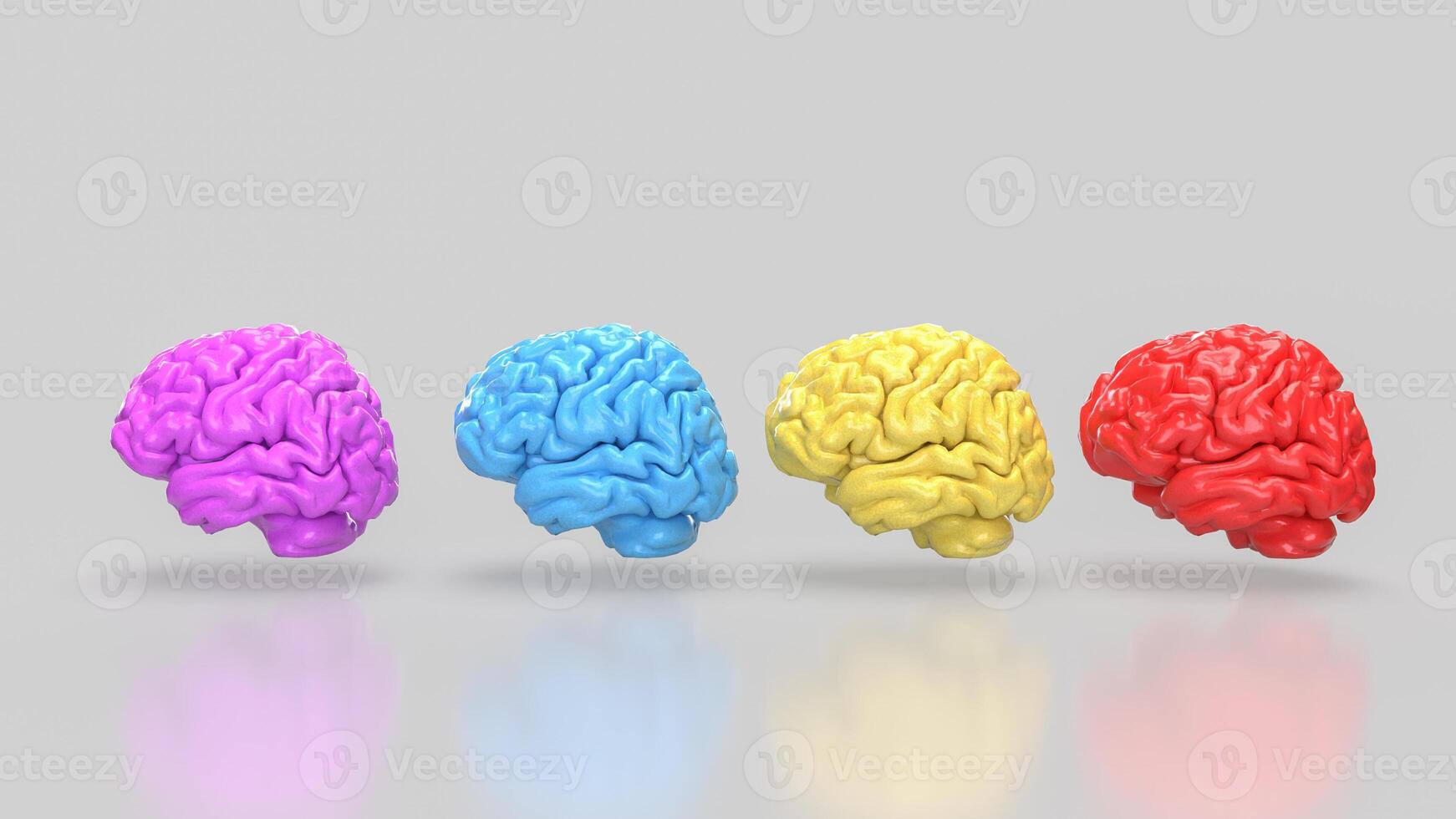 The Brain multi color on white background for education or sci concept 3d rendering. photo