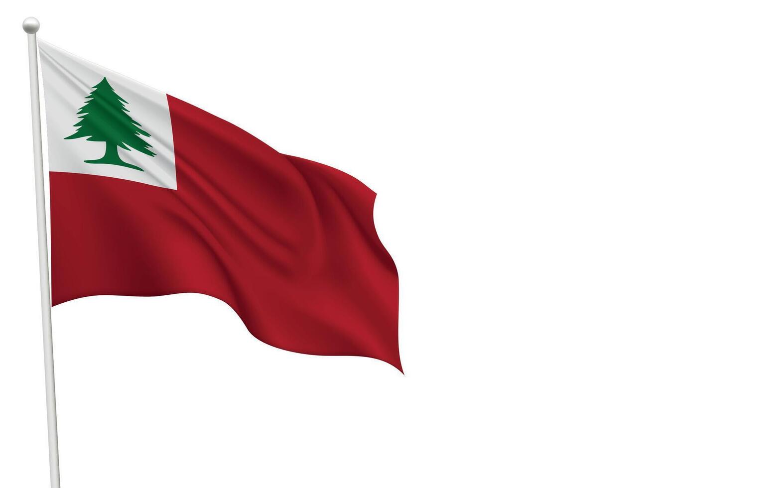 Continental Flag Waving on a White Background vector