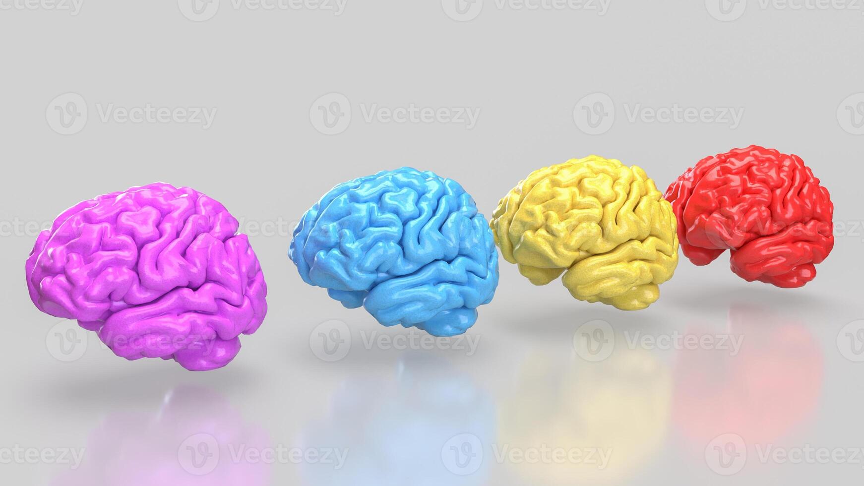 The Brain multi color on white background for education or sci concept 3d rendering. photo