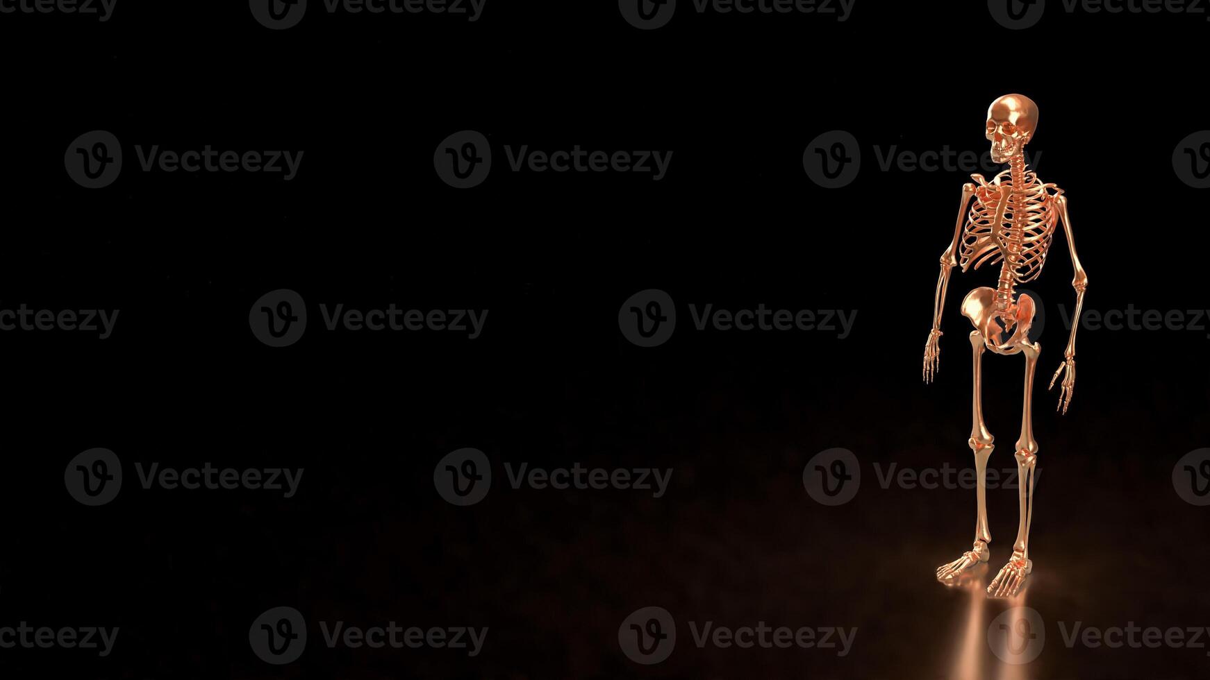The Copper skeleton on black background for education or sci concept 3d rendering. photo