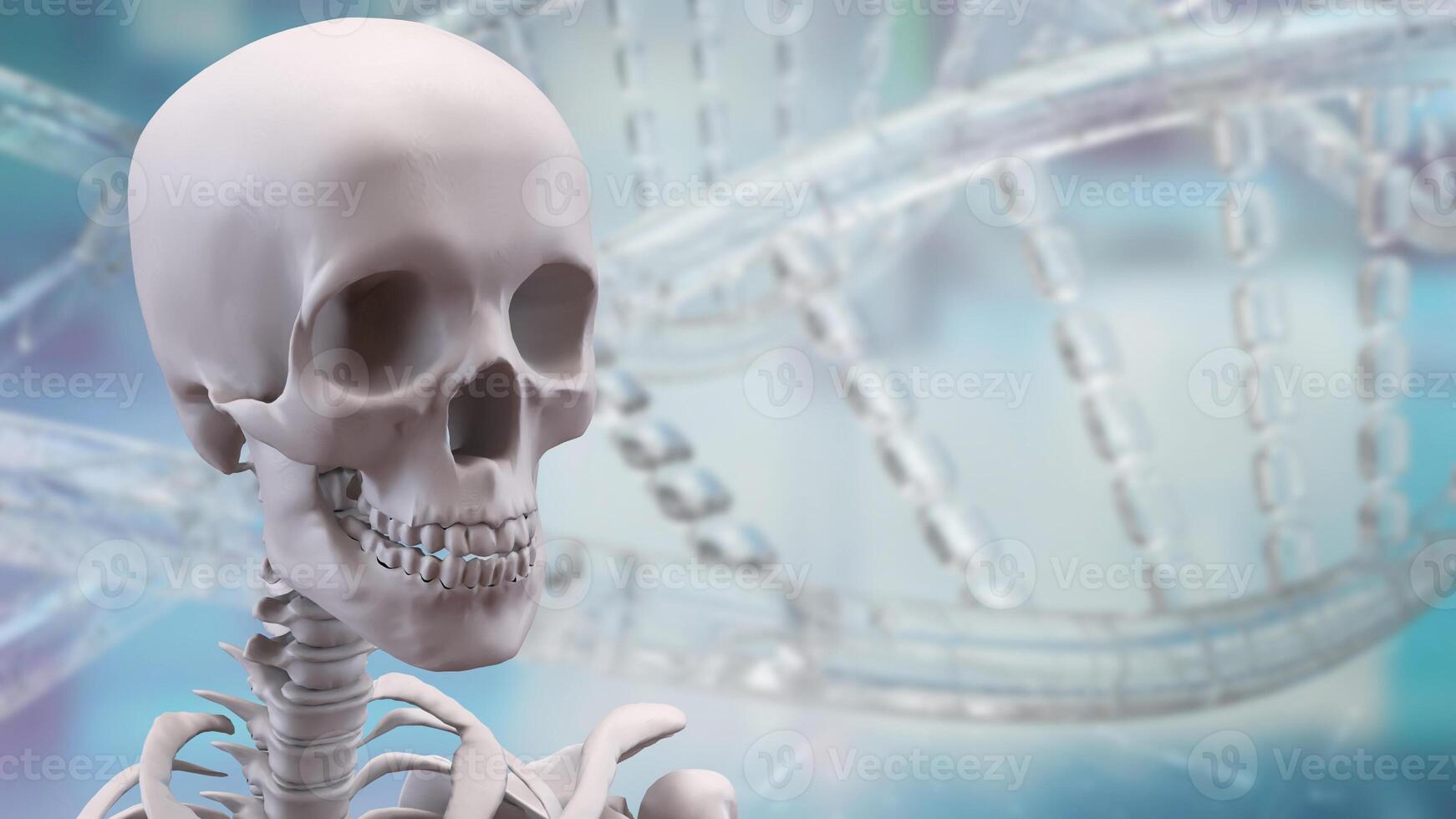 The Skeleton on black background for education or sci concept 3d rendering. photo