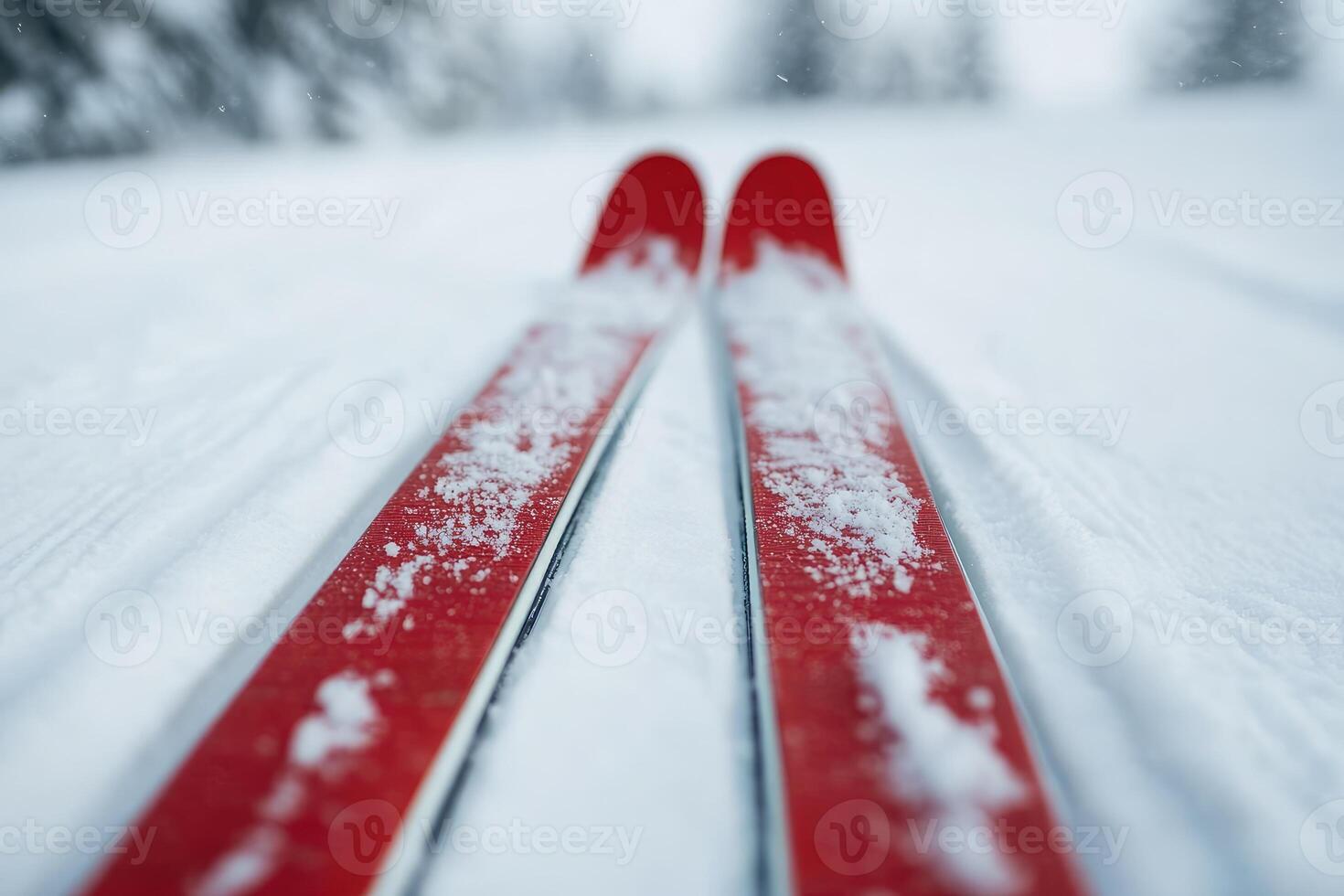 Red skis lying on fresh snow during snowfall in a winter forest photo