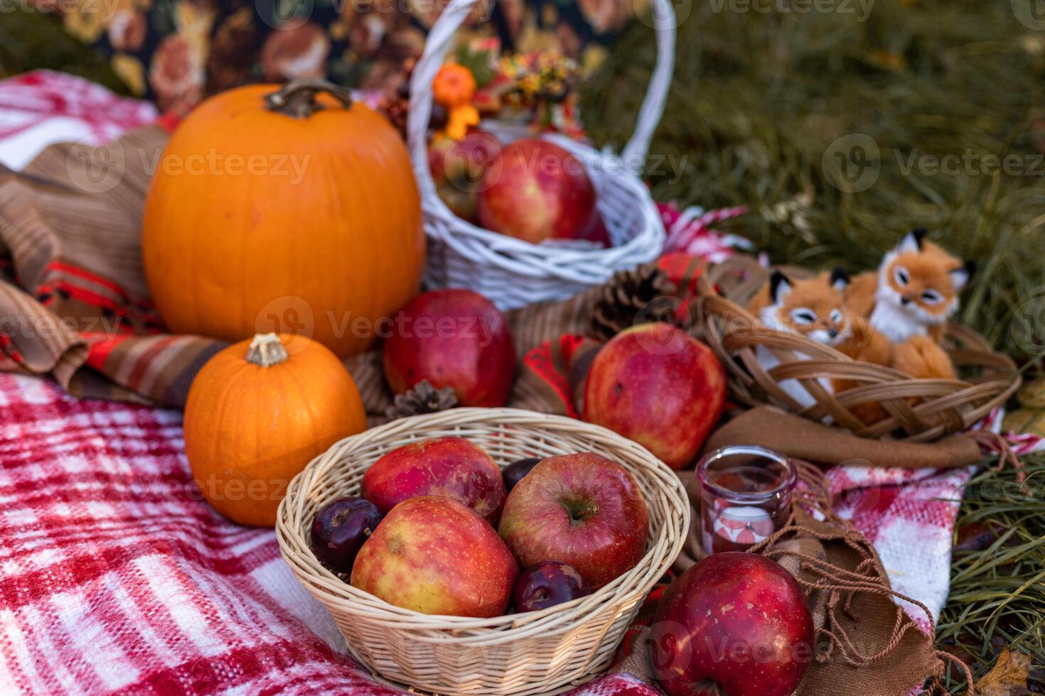 Autumn picnic in nature with apples. Apples and pumpkins on a blanket in nature photo