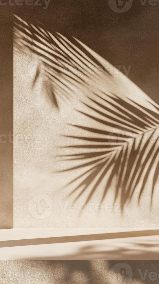 A close-up of the shadow cast in the style of palm leaves on an empty shelf, set against a textured beige wall, evoking a serene and minimalist aesthetic photo