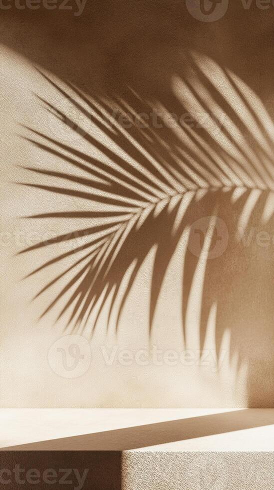 A close-up of the shadow cast in the style of palm leaves on an empty shelf, set against a textured beige wall, evoking a serene and minimalist aesthetic photo