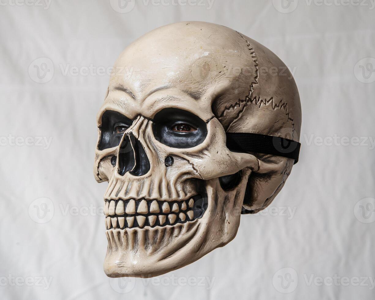 A realistic male skull mask, showcasing intricate details and lifelike features against a neutral background. photo