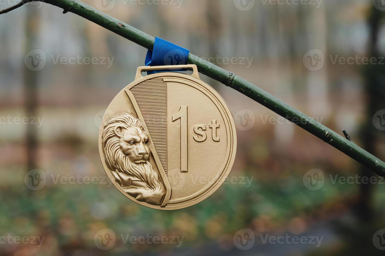 Golden 1st place medal hanging from a tree branch, featuring a lion emblem and blue ribbon. photo