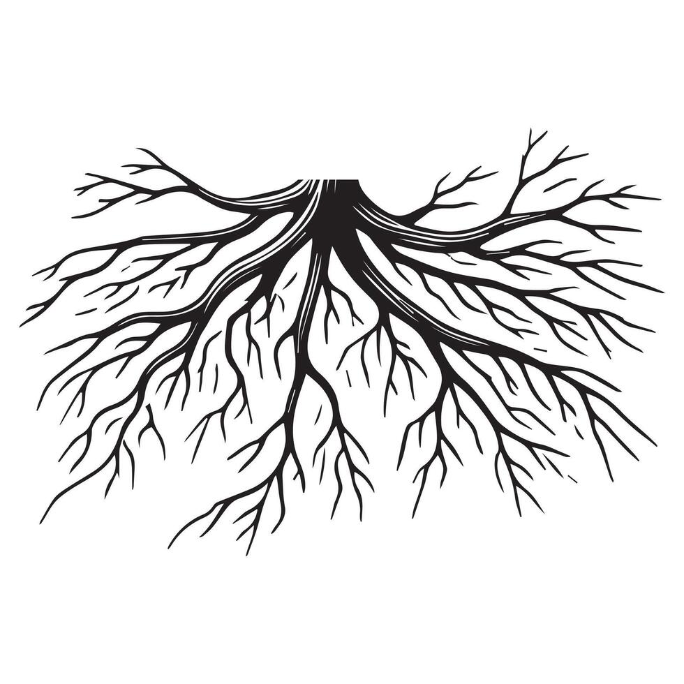 Tree Root Graphic for Nature Projects vector