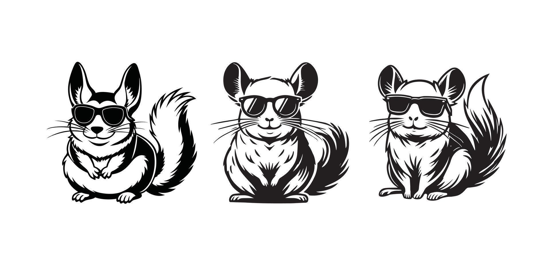 Cute Chinchilla sitting wearing sunglass illustration , Set of Joyful Chinchilla Clipart Art vector