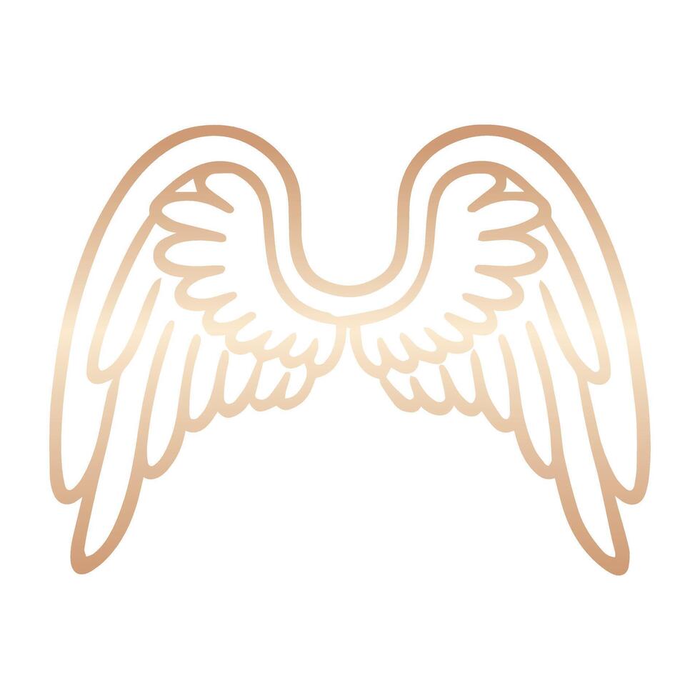 Colorful Angel Wing with Intricate Feather Patterns vector