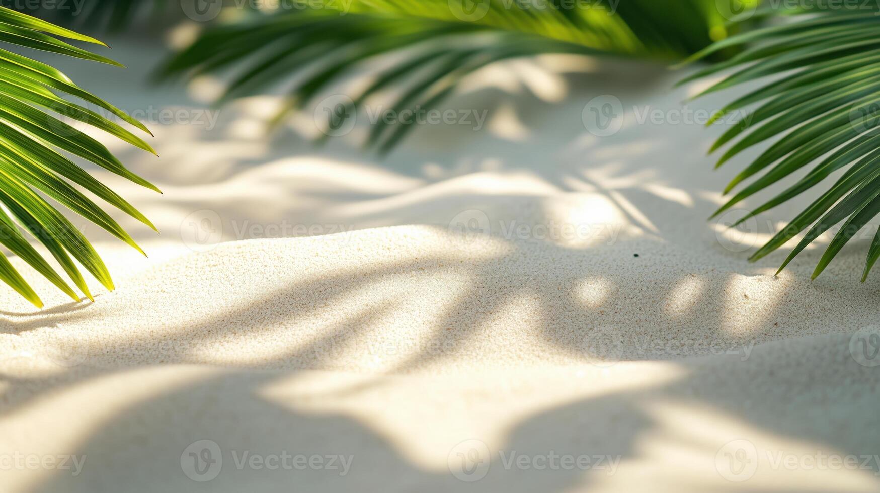 Sunlit tropical sand with palm leaf shadows, natural patterns creating a serene summer beach atmosphere, minimalist nature-inspired background design photo