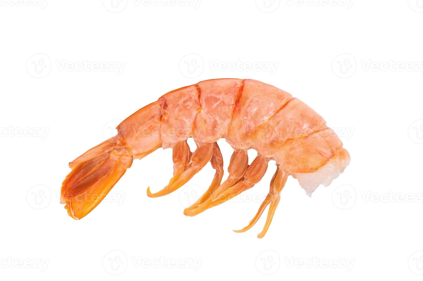 Raw Headless Red Argentine shrimps, Prawns isolated on white background. top view photo