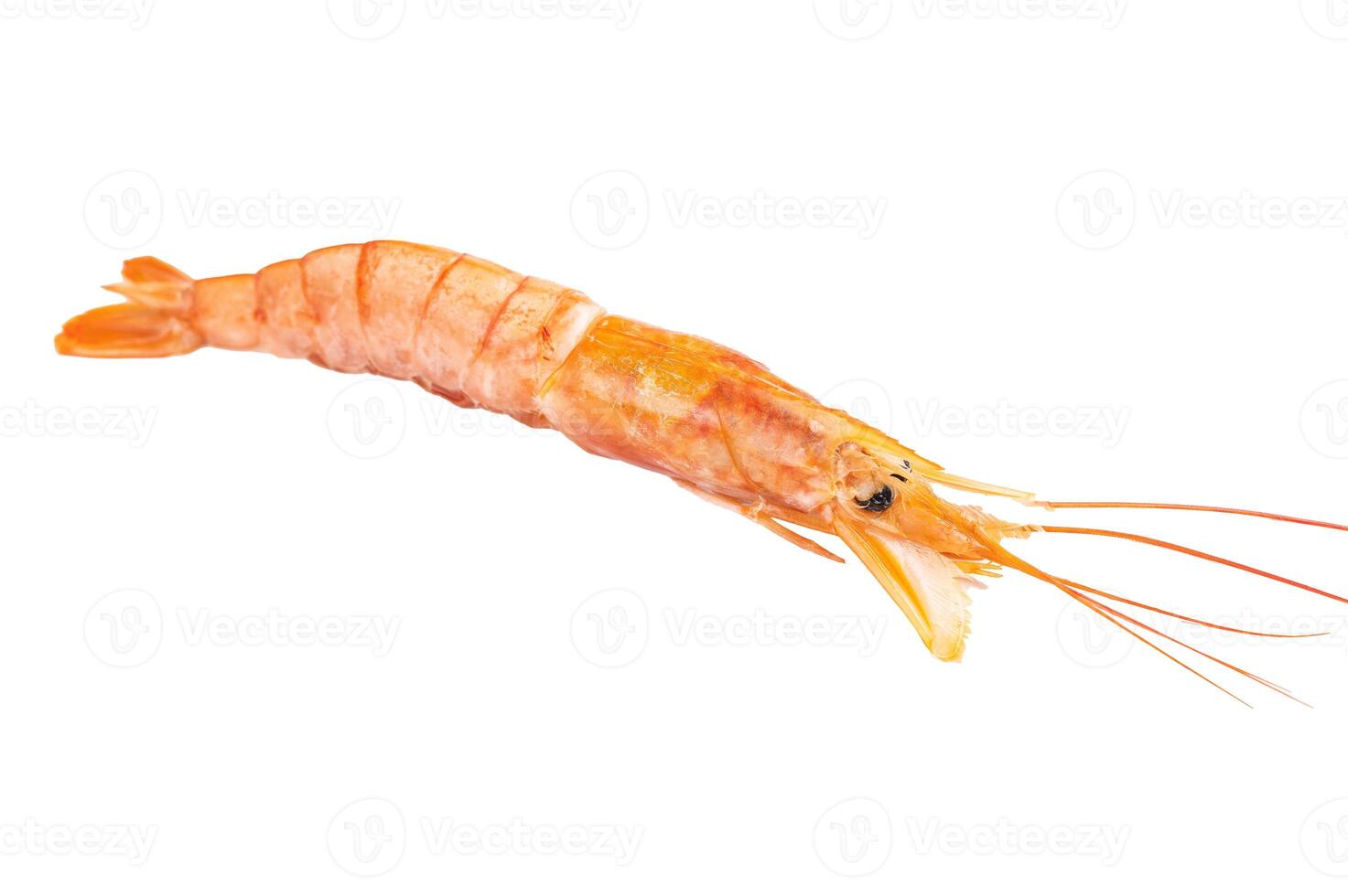 Fresh red Argentine shrimp, raw Prawn Langostino Austral isolated on white background. top view photo